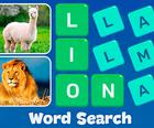 Поиск слов - Веселые логические игры