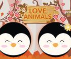 Amor Animals