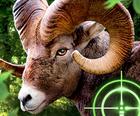पागल बकरी शिकारी 2020