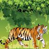Angry Tiger Coloring Angry Tiger Coloring