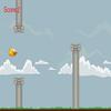FlyBird FlyBird