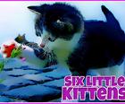 Six Little Kittens