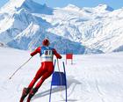 Slalom-Ski Browser