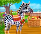Zebra Cuidar