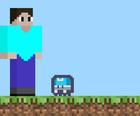 Pro Steve