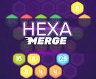 Hexa Zusammenführen