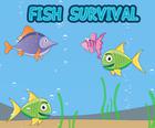 Peixes De Sobrevivência