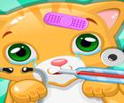 Pet və baytar üçün Little Cat Doctor Game