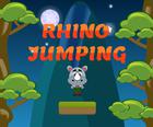 Salto de Rinoceronte