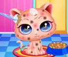 Cute Kitty Cura-Pet Makeover
