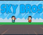 Juegos de Sky Bros