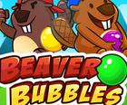 Beaver Burbujas