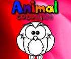Dzīvnieku HTML Krāsošana