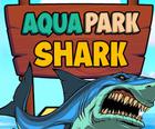 Aqua Park Köpekbalığı