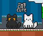 Dwa Kot Słodkie
