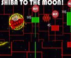 Shiba Inu Į Mėnulį