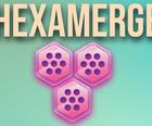 HEXAMERGE