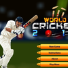 World Cricket 2011 World Cricket 2011