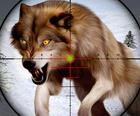 Fox Caça Sniper Tiro