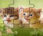 Pisici drăguț joc de Puzzle ftree
