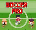Хөл Бөмбөгийн Pro