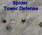 Spider TD
