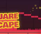 Squarescape