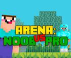 Arena: Noob vs Pro