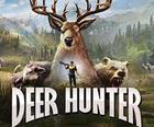 Bear Hunter Shooting King