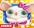 Miss Hollywood: Pet Paradise Adventure gry online
