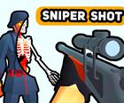 Sniper Shot: Bullet Tyd