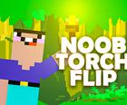 Noob Torch Flip 2D