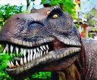Rompecabezas de Tyrannosaurus Rex Carnivore