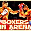 Boxers in Arena Boxers in Arena