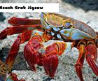 Beach Crab Jigsaw