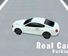 Echtes Auto Parken 3D