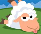 Sheep Run