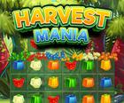 Harvest Mania