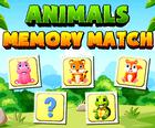 Animals Memory Match