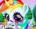 Regenbogen-Pony Pflege