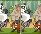 野生动物园五个差异