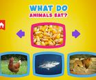 Ce mănâncă animalele