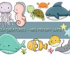 Crianças Memória Criaturas Do Mar