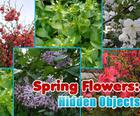 Pavasara Ziedi Hidden Objekti