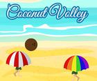 Coconut Volley