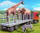 Camion che guida il trasporto degli animali