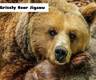 Grizzly Niedźwiedź Układanki