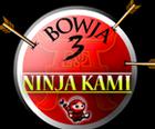 Жекпе-Жек 3: Ninja Ками