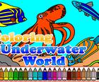 Kleuren Onderwater Wereld