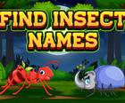 Trouver Des Noms d'Insectes